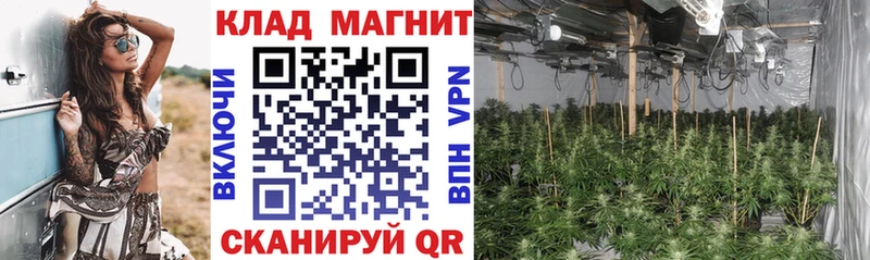 Магазин наркотиков Фокино Бошки Шишки  KRAKEN зеркало  Галлюциногенные грибы  Гашиш  МЕФ  СК  АМФЕТАМИН 