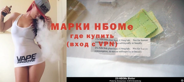 шишки Абаза