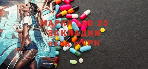 шишки Абаза