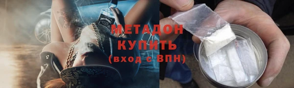 шишки Абаза