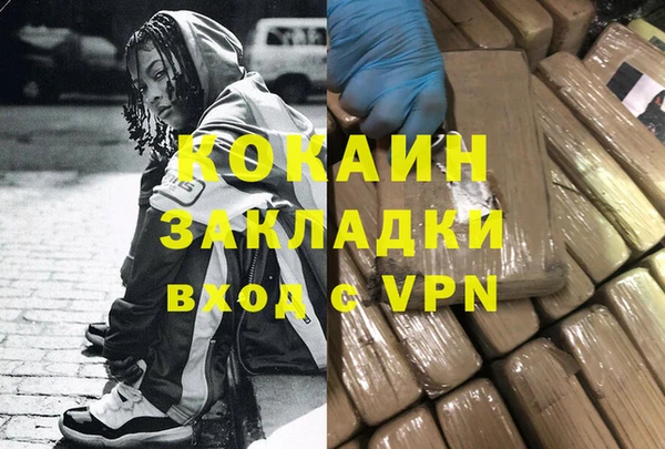 шишки Абаза