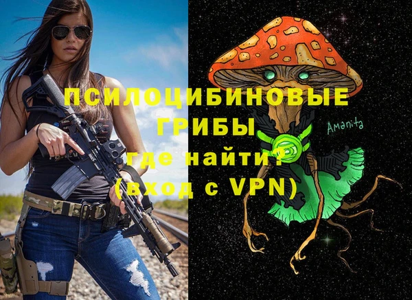 тгк Абинск