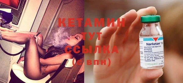 шишки Абаза