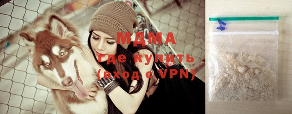 шишки Абаза