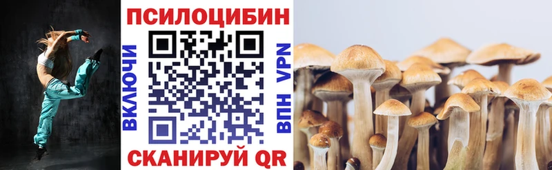 Галлюциногенные грибы Psilocybine cubensis  kraken зеркало  Фокино 